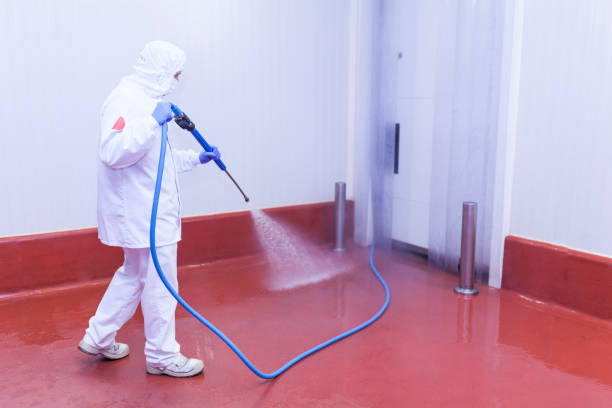 Best Solar Panel Cleaning  in Newstle, CA