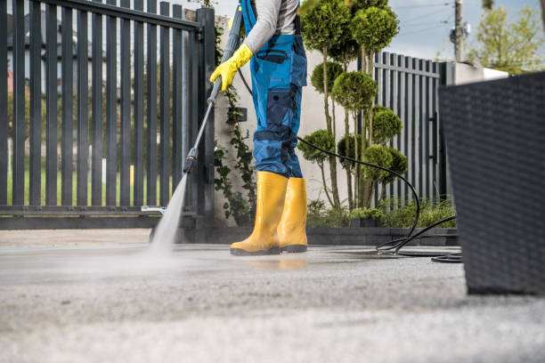 Best Roof Washing  in Newstle, CA